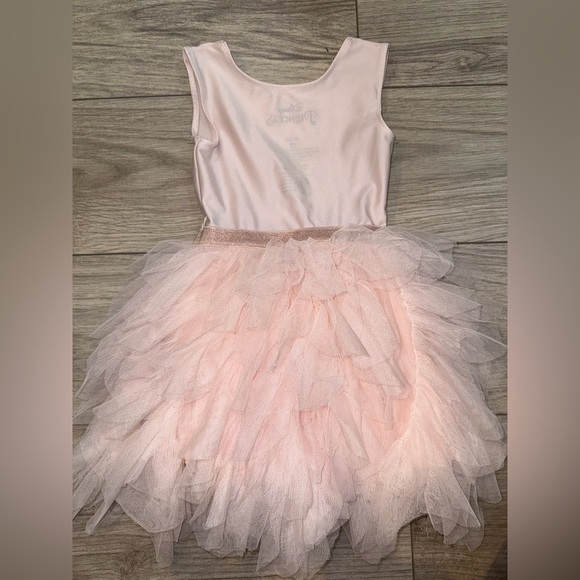 Disney Pink Princess Tulle tutu dress - Picture 4 of 4